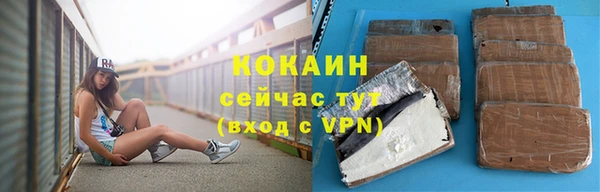 стафф Алзамай