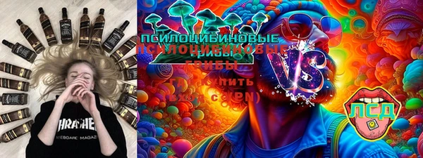стафф Алзамай