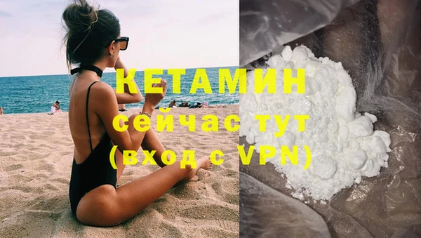 стафф Алзамай