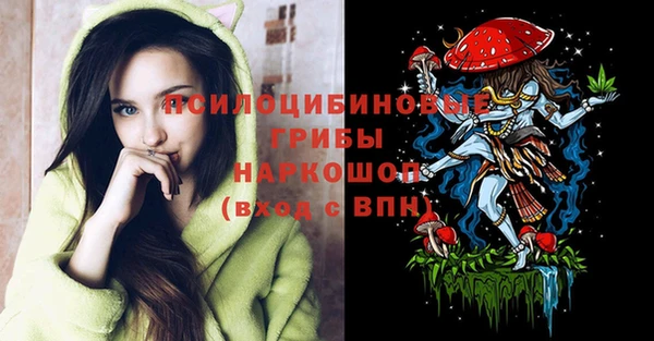 стафф Алзамай