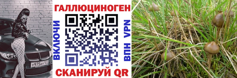 Галлюциногенные грибы Cubensis  купить   MEGA ONION  Крымск 